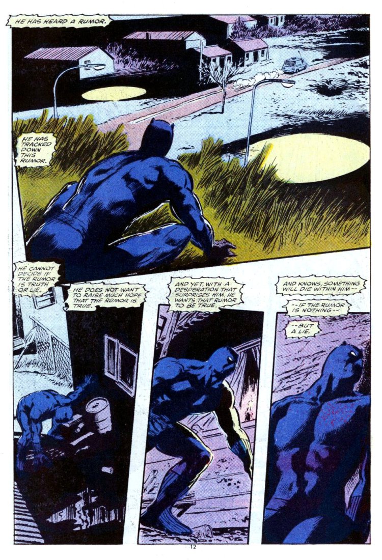 Panther's Quest by Don McGregor and Gene Colan