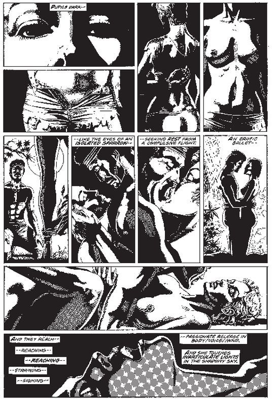 Sabre, the most explosive hero in comics